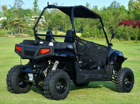 Blade 200U EFI UTV Side-by-Side, Electric Start, Automatic with Reverse, Ages 16 and up