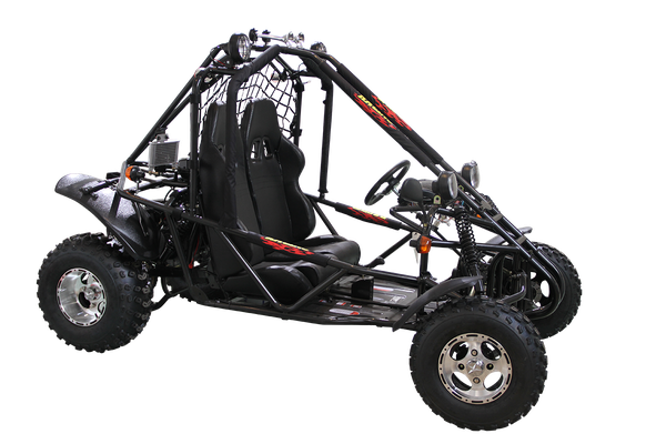 Spider 200 DLX Buggy Go Kart, Electric Start, Automatic with Reverse, 10-inch Alloy Wheels, Ages 16 and up
