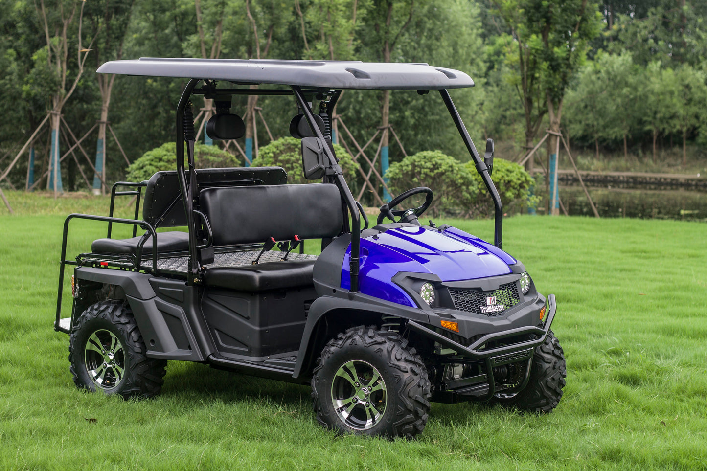 TrailMaster Taurus 450GX Gas Golf Cart, 26hp EFI Engine, 2x4/4x4 H/L Gear with Locking Differential