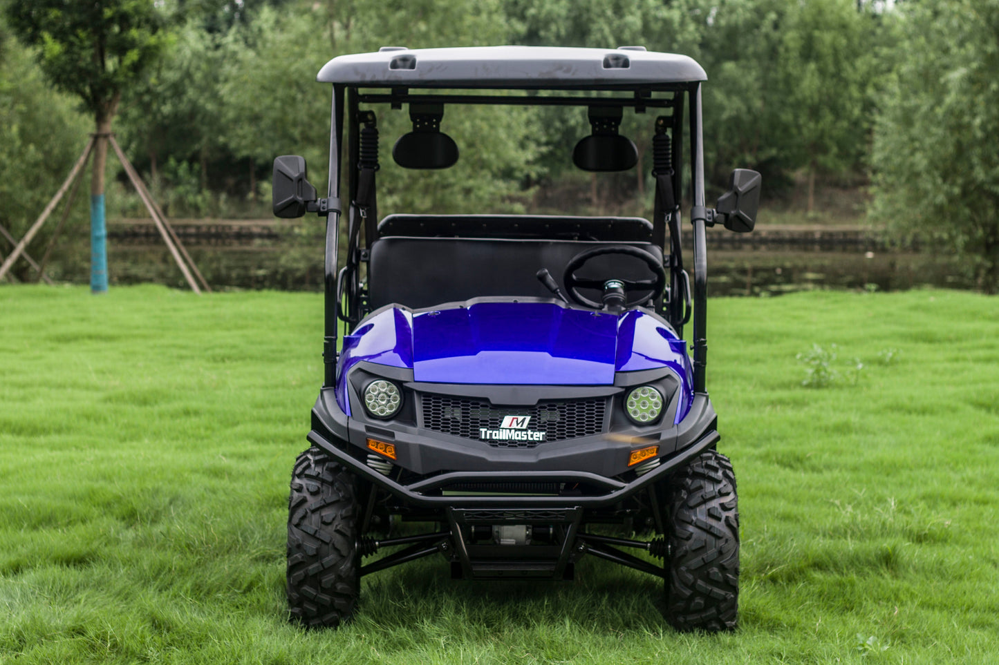 TrailMaster Taurus 450GX Gas Golf Cart, 26hp EFI Engine, 2x4/4x4 H/L Gear with Locking Differential