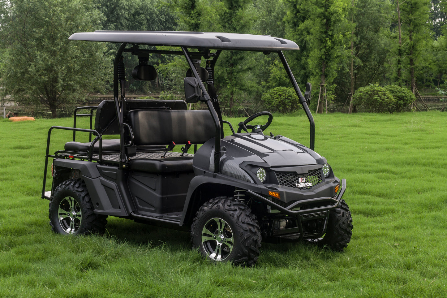 TrailMaster Taurus 450GX Gas Golf Cart, 26hp EFI Engine, 2x4/4x4 H/L Gear with Locking Differential