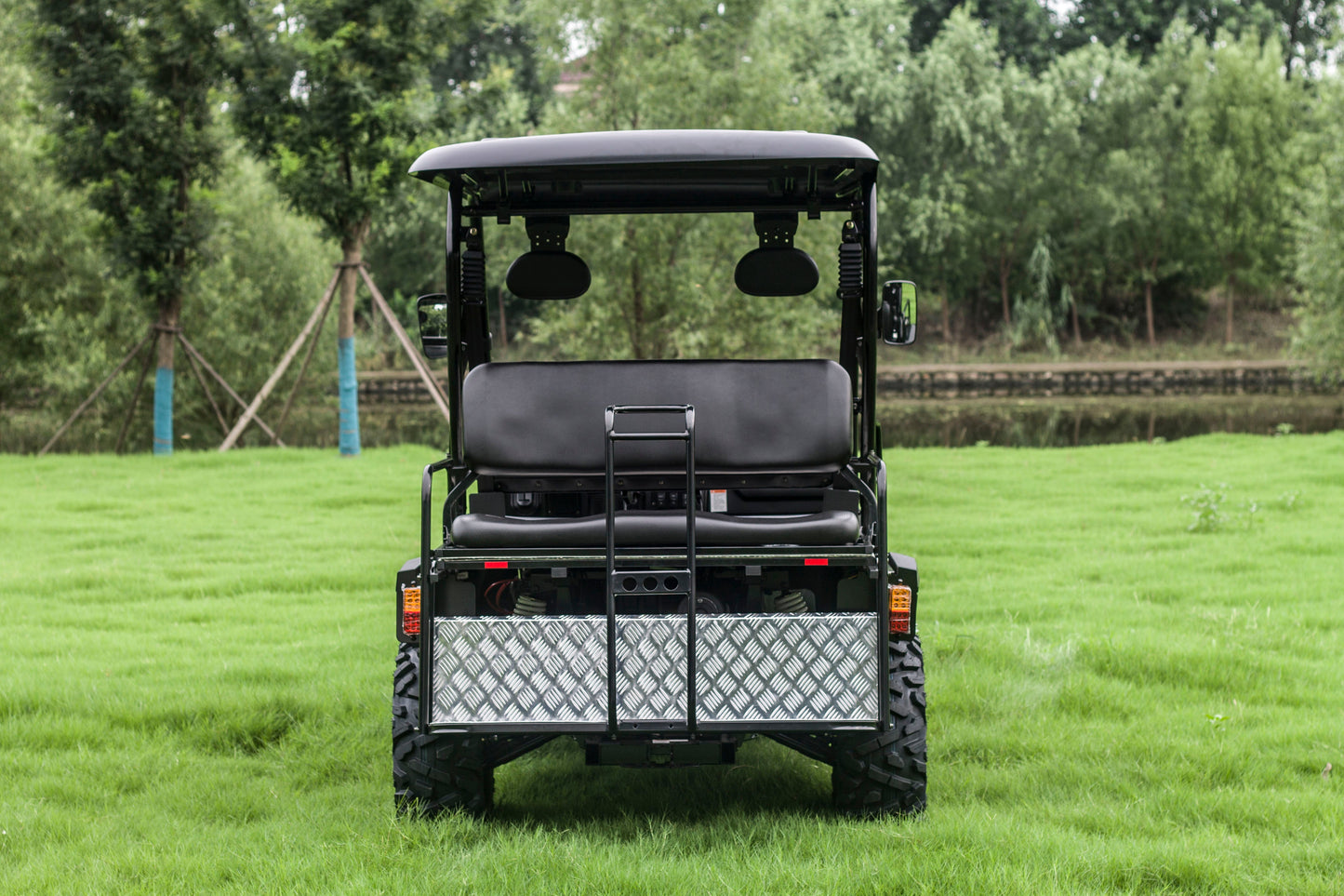 TrailMaster Taurus 450GX Gas Golf Cart, 26hp EFI Engine, 2x4/4x4 H/L Gear with Locking Differential
