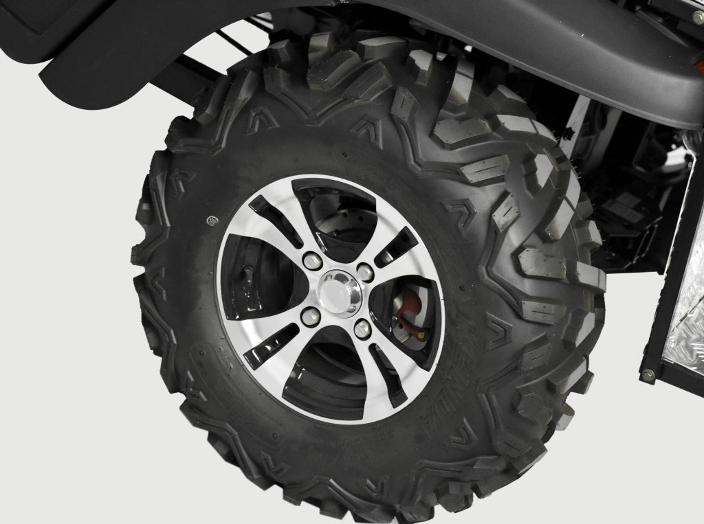 TrailMaster Taurus 450GX Gas Golf Cart, 26hp EFI Engine, 2x4/4x4 H/L Gear with Locking Differential