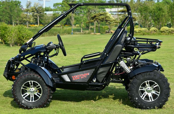 Venture 200 EFI Buggy Go Kart, Electric Start, Automatic with Reverse, Ages 16 and up