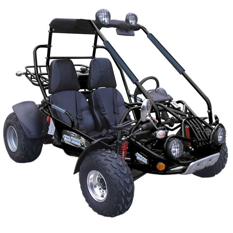 TrailMaster 200E XRX (EFI) Fuel Injection Deluxe Buggy Go Kart, Alloy Wheels, Lights, Turn Signals