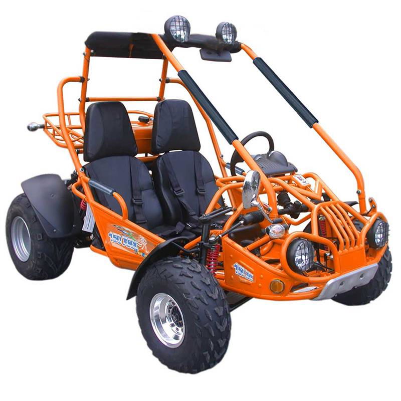 TrailMaster 200E XRX (EFI) Fuel Injection Deluxe Buggy Go Kart, Alloy Wheels, Lights, Turn Signals