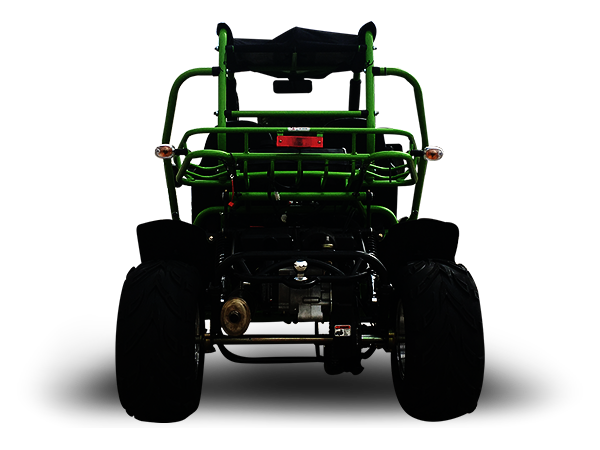 TrailMaster 200E XRX (EFI) Fuel Injection Deluxe Buggy Go Kart, Alloy Wheels, Lights, Turn Signals