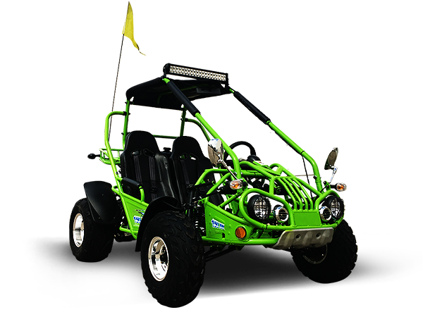TrailMaster 200E XRX (EFI) Fuel Injection Deluxe Buggy Go Kart, Alloy Wheels, Lights, Turn Signals