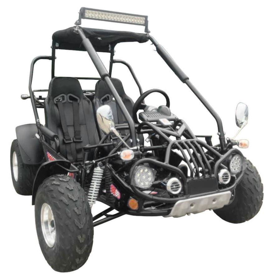 TrailMaster 200E XRX (EFI) Fuel Injection Deluxe Buggy Go Kart, Alloy Wheels, Lights, Turn Signals