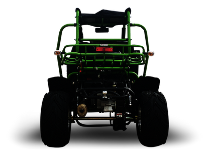 TrailMaster 200 XRX Deluxe Buggy Go Kart, Alloy Wheels, Lights, Turn Signals