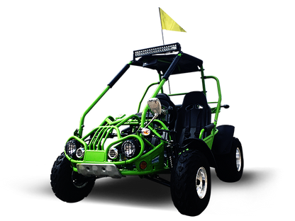 TrailMaster 200 XRX Deluxe Buggy Go Kart, Alloy Wheels, Lights, Turn Signals