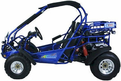 TrailMaster 300 XRX-E Dune Buggy Go Kart, EFI Fuel Injected, Liquid Cooled, Shaft Drive, Alloy Wheels