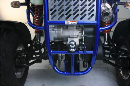 TrailMaster 300 XRX-E Dune Buggy Go Kart, EFI Fuel Injected, Liquid Cooled, Shaft Drive, Alloy Wheels