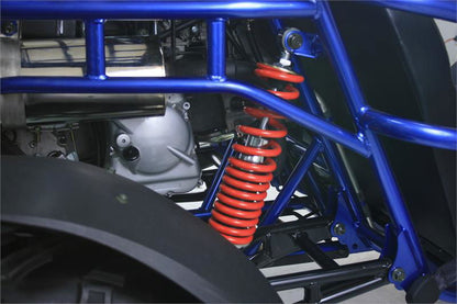 TrailMaster 300 XRX-E Dune Buggy Go Kart, EFI Fuel Injected, Liquid Cooled, Shaft Drive, Alloy Wheels
