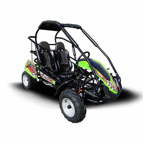 TrailMaster Blazer 200R MID-Size Go Kart, 7.5hp Torque Converter, Electric Start Reverse, Kids Ages 7-12