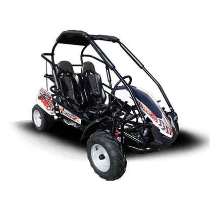 TrailMaster Blazer 200R MID-Size Go Kart, 7.5hp Torque Converter, Electric Start Reverse, Kids Ages 7-12