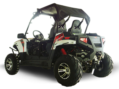 TrailMaster Challenger 300EX (EFI) UTV Side-by-Side, Shaft Drive with Independent Rear Suspension