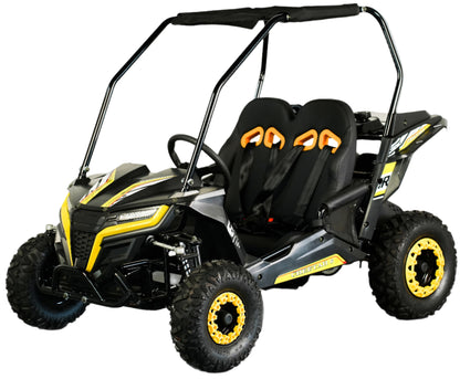TrailMaster Cheetah-6 Go Kart, 5.5hp Electric Start, Remote Start/Kill with Reverse, Kids Ages 4-9