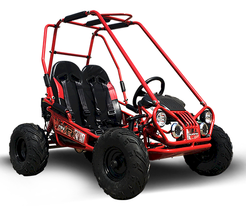 TrailMaster MINI XRX+ Kids GoKart, 5.5hp Gas Engine with Electric Start, Remote Start/Kill, Ages 4-9