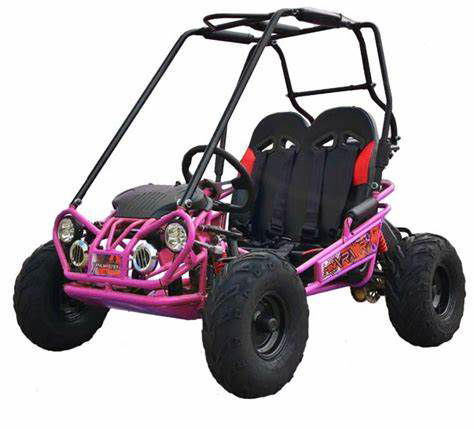 TrailMaster MINI XRX+ Kids GoKart, 5.5hp Gas Engine with Electric Start, Remote Start/Kill, Ages 4-9