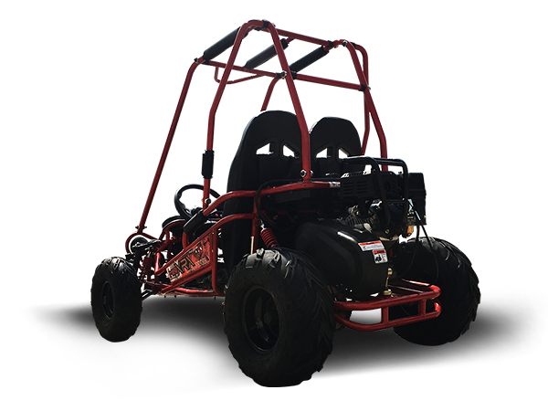 TrailMaster MINI XRX+ Kids GoKart, 5.5hp Gas Engine with Electric Start, Remote Start/Kill, Ages 4-9