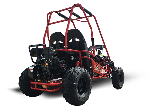 TrailMaster MINI XRX+ Kids GoKart, 5.5hp Gas Engine with Electric Start, Remote Start/Kill, Ages 4-9