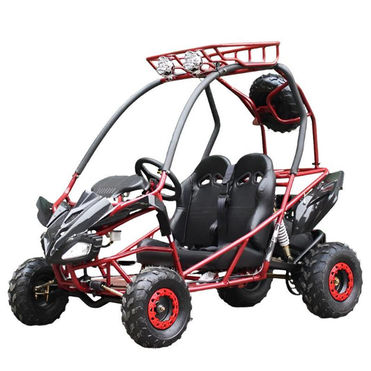 PGO 200GVS Kids Gas Go Kart, 6.5hp 196cc engine with Electric Start, Automatic Torque Converter, Ages 8 and up