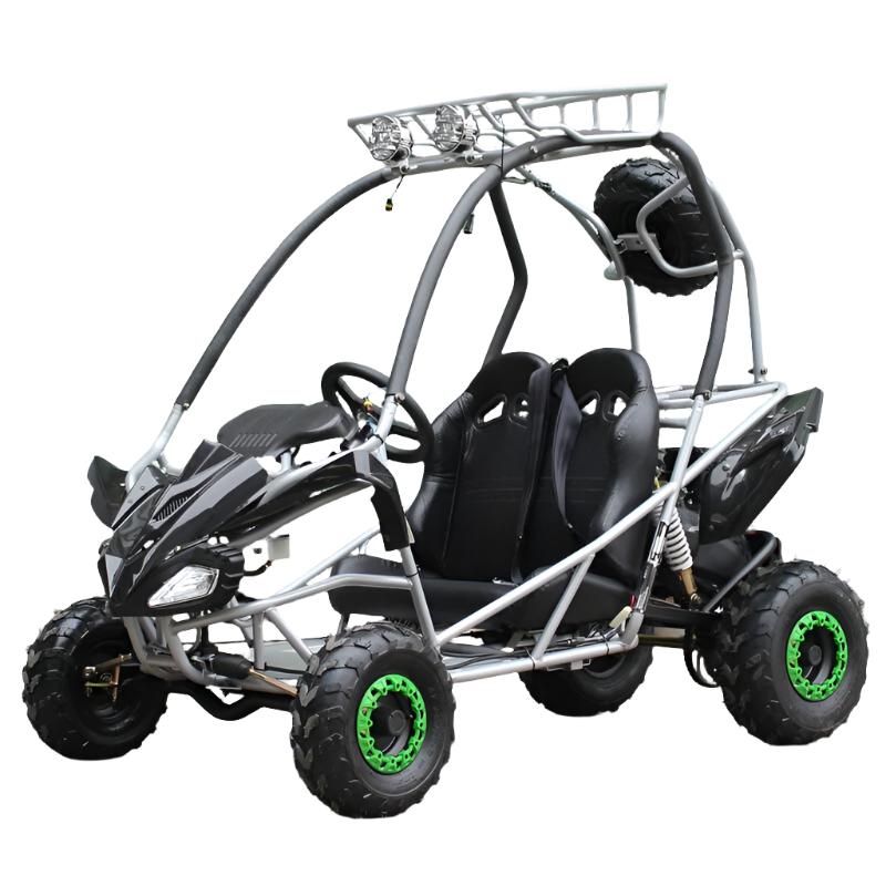 PGO 200GVS Kids Gas Go Kart, 6.5hp 196cc engine with Electric Start, Automatic Torque Converter, Ages 8 and up