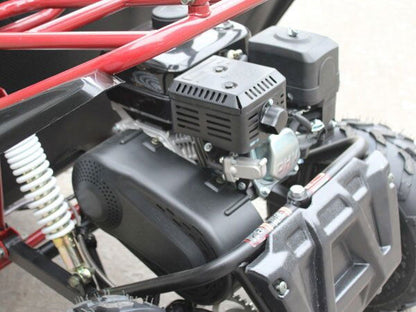 PGO 200GVS Kids Gas Go Kart, 6.5hp 196cc engine with Electric Start, Automatic Torque Converter, Ages 8 and up