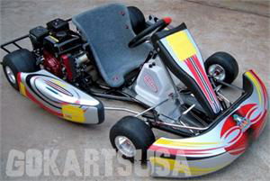 Roadrat TAG Adult Race Go Kart, Electric Start