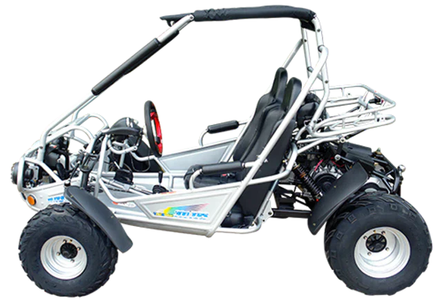 TrailMaster 300E XRS (EFI) Dune Buggy Go Kart, Liquid Cooled, Chain Drive