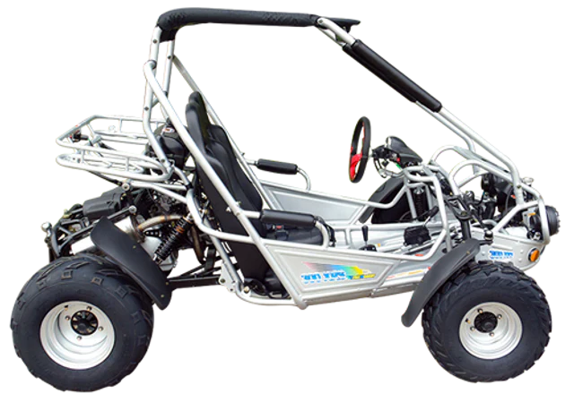 TrailMaster 300E XRS (EFI) Dune Buggy Go Kart, Liquid Cooled, Chain Drive