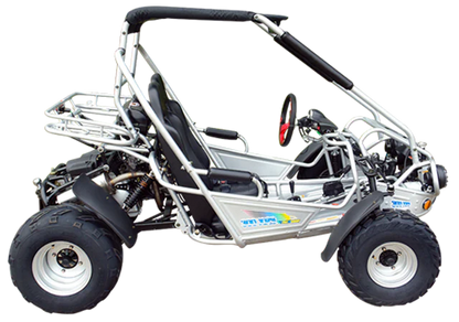 TrailMaster 300E XRS (EFI) Dune Buggy Go Kart, Liquid Cooled, Chain Drive