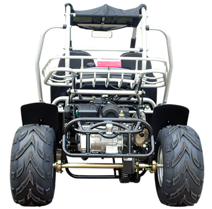 TrailMaster 300E XRS (EFI) Dune Buggy Go Kart, Liquid Cooled, Chain Drive