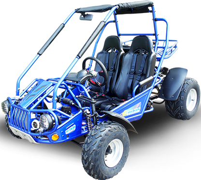 TrailMaster 300E XRS (EFI) Dune Buggy Go Kart, Liquid Cooled, Chain Drive